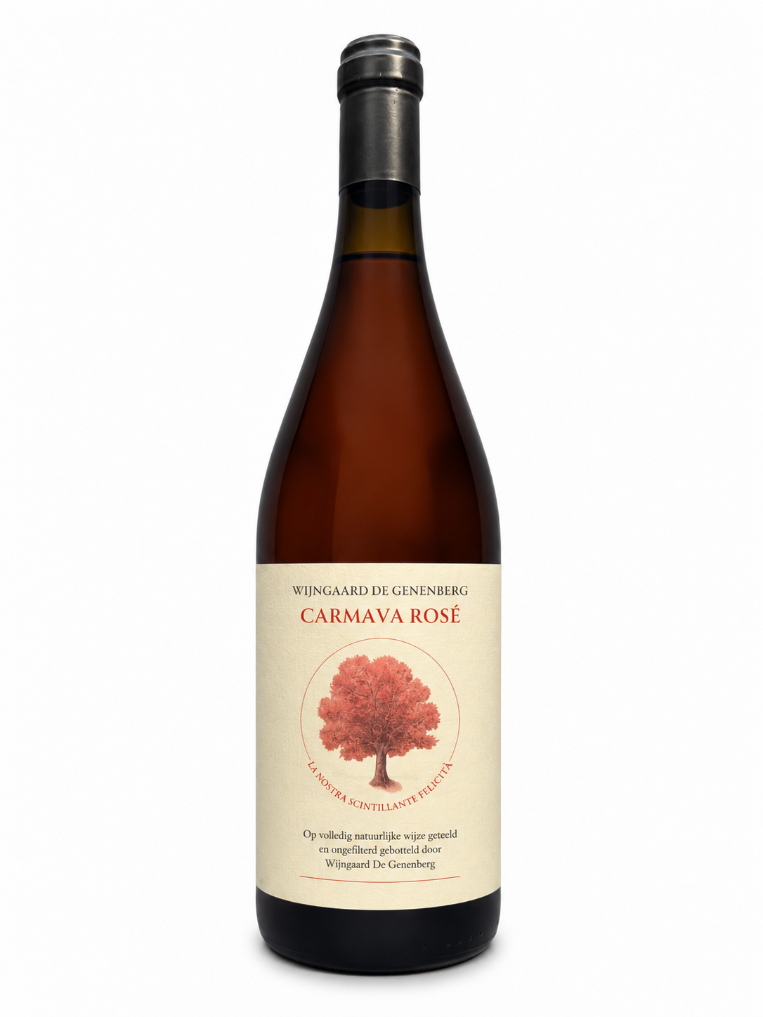 Doos Carmava Rosé 2024, 6 flessen, 0,75 L