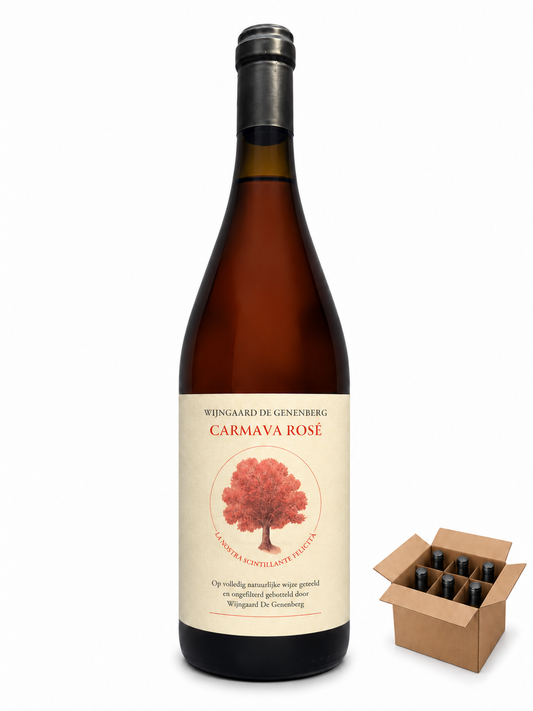 Doos Carmava Rosé 2025, 6 flessen, 0,75 L