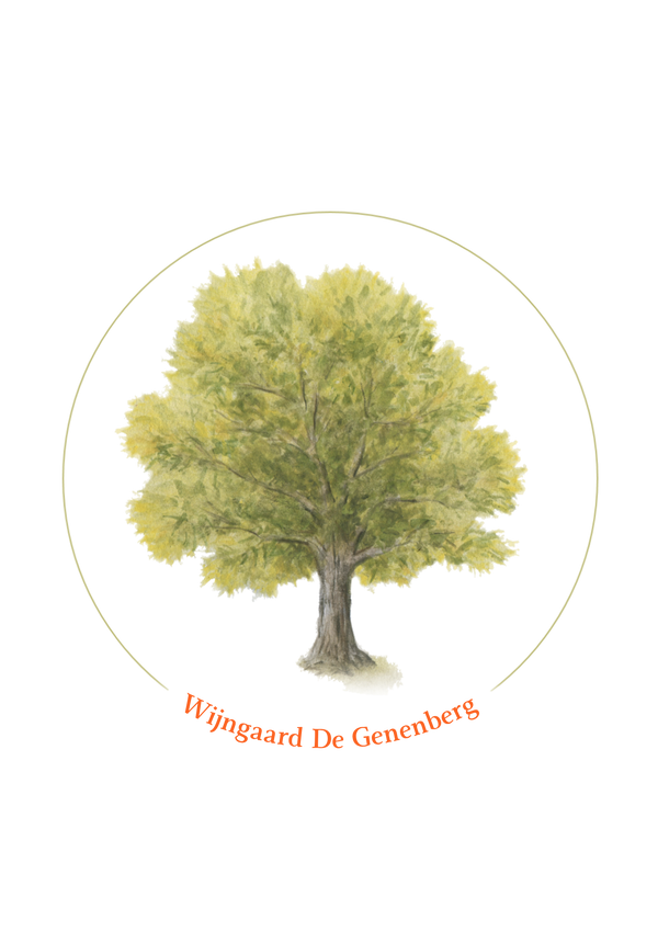Wijngaard De Genenberg